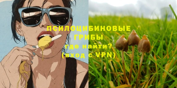 a pvp Алексеевка