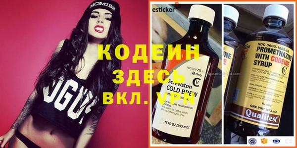 хмурый Алексин