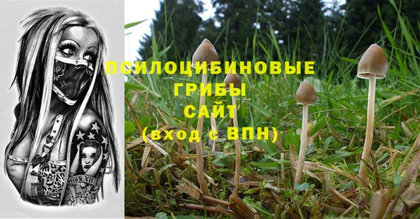хмурый Алексин