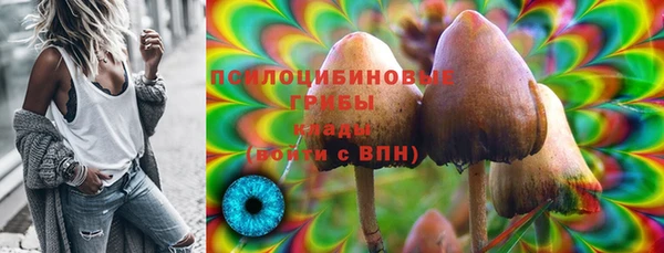 дурь Алзамай