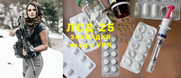 хмурый Алексин