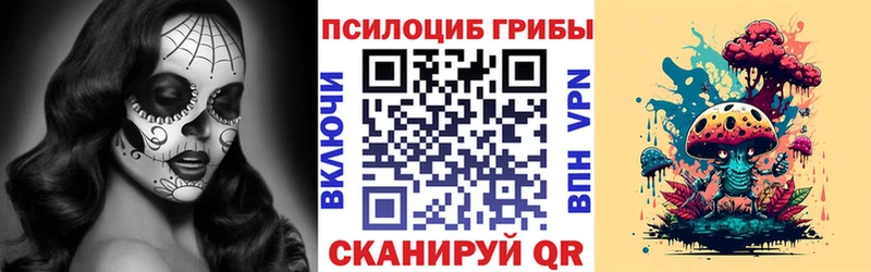 OMG ССЫЛКА Жиздра Галлюциногенные грибы ЛСД